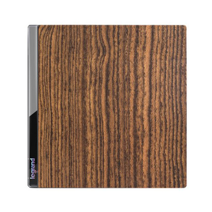 羅格朗legrand10AX一位中途掣開關-黃金檀