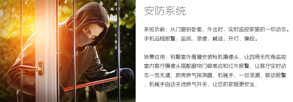 別墅安防系統(tǒng)